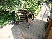 Western Michigan [2009] 437